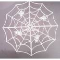 夜光蜘蛛網