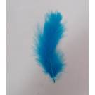 小尖羽毛-土耳其藍