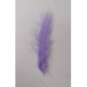 小尖羽毛-淺紫